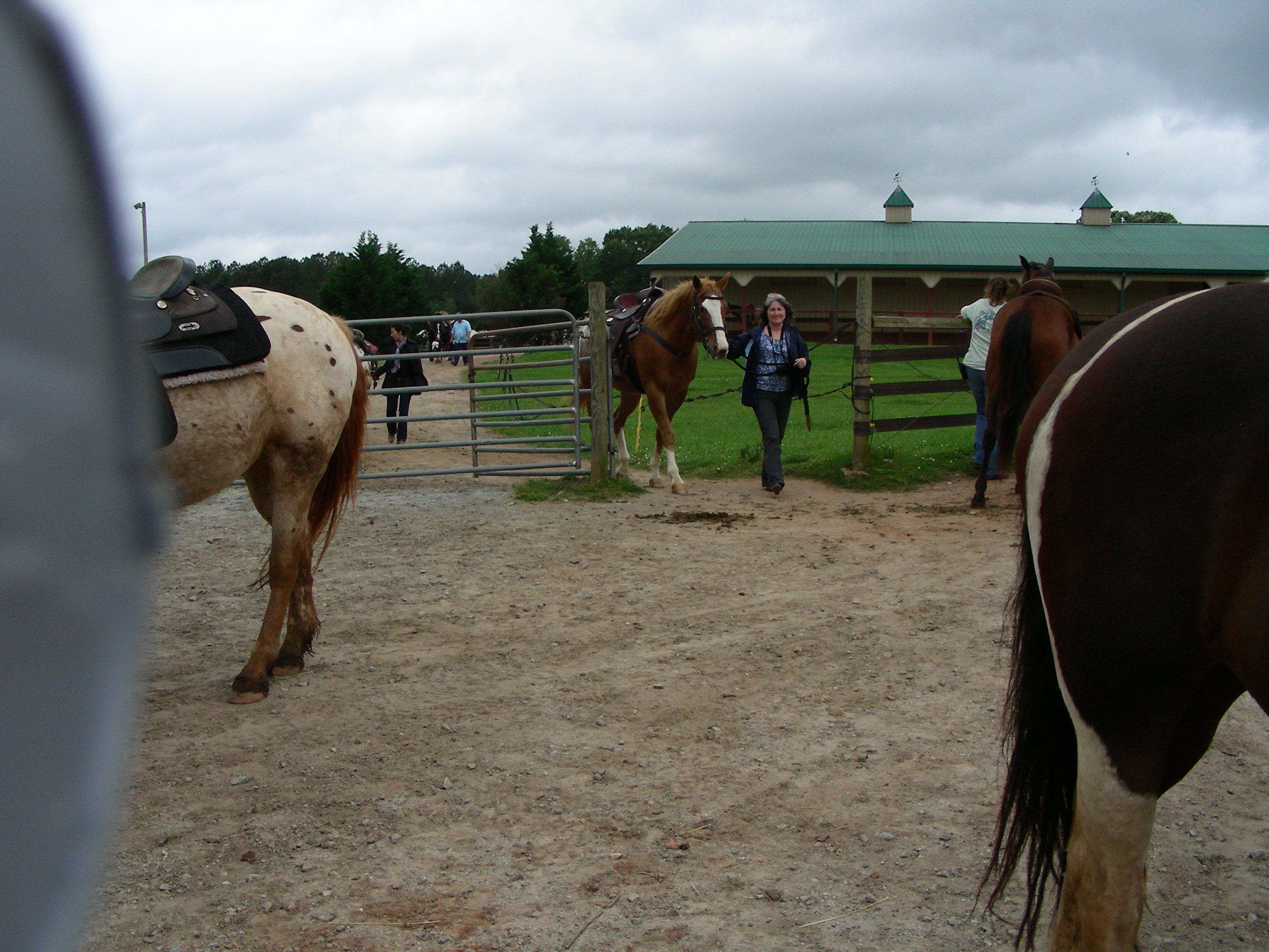 ./2013/Southern Cross Ranch/DSCN8883.JPG